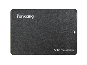 حافظه SSD فانشیانگ Fanxiang S101 240GB