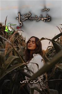 PDF نسخه کامل رمان تا چهارشنبه زن من میشی ژانر عاشقانه-خارجی-صحنه دار- از کاترین