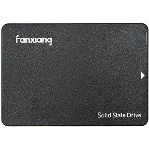 حافظه SSD فانشیانگ Fanxiang S101 128GB
