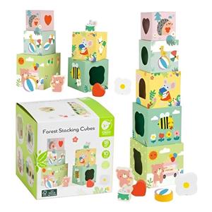 برج مکعب هوش چوبی کلاسیک ورلد classic world Forest Stacking Cubes کد 20222