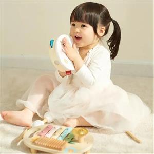اسباب بازی ست موسیقی کلاسیک ورلد Iris Music Set classic world کد 40559