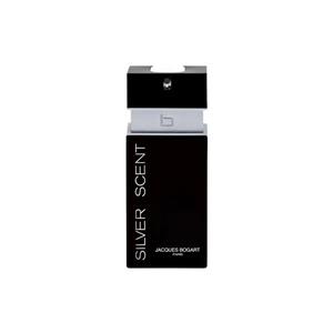 عطر ادکلن ادو تویلت مردانه بوگارت سیلور سنت حجم ۱۰۰ میلی لیتر