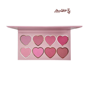 پالت رژگونه پلوئیز|plouise but baby it’s cold outside blush palette