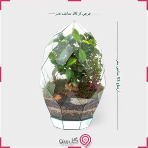 تراریوم چند ضلعی نهال