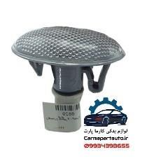 راهنما رو گلگیر تارا