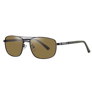 عینک آفتابی خلبانی (Aviator) آلبرت وگ مدل 6313C04-P130 Polarized Avantgarde Visionary