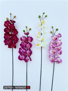 ارکیده ۹ گل لمسی خارجی (پک ۶ عددی)
