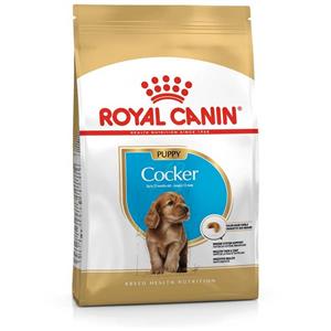 غذای خشک توله سگ نژاد کوکر رویال کنین ROYAL CANIN COCKER PUPPY 3KG