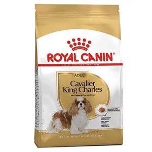 غذای خشک سگ رویال کنین مدل کاوالیر کینگ چارلز ادلت 1.5 ROYAL CANIN CAVALIER KING CHARLES ADULT KG