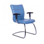 Nilper SK603g Leather Chair