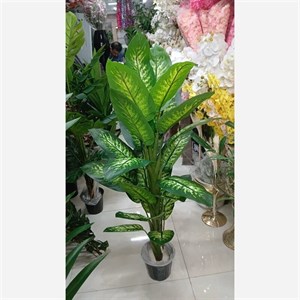 درختچه مصنوعی دیفن باخیا
