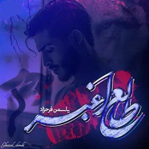 رمان طالع اغبر اثر یاسمن فرحزاد