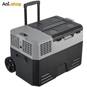 یخچال مسافرتی 42 لیتری توبیز مدل TR-42