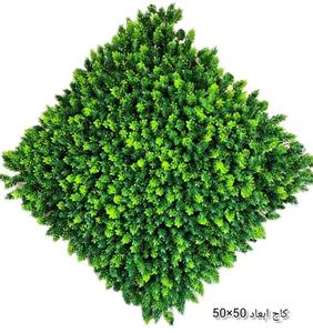 گرین وال (دیوار سبز) کاج 50در50 cm پرتراکم رویال سبز(پس کرایه)