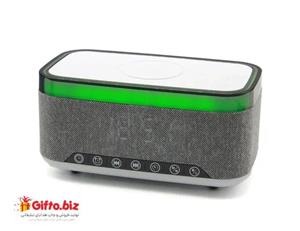 اسپیکر وایرلس S300