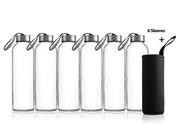 Zuzoro - 6-Pack -18oz Juice & Beverage Glass Water Bottles - for Juicing or Kombucha Storage - Includes Nylon Bottle Protection Sleeves No-Leak Caps w/Carrying Loops. - Clear Reusable bottles