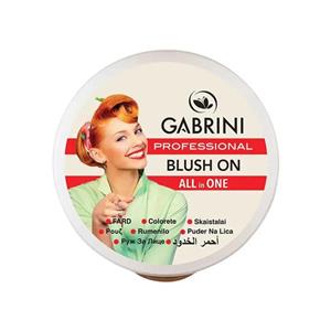 رژ گونه گابرینی شماره 54