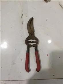قیچی باغبانی قدیمی