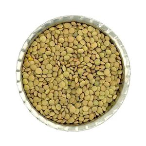 عدس ریز خارجی روس