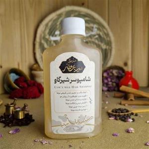 شامپو شیر گاو (حجیم کننده مو - بهبود ریزش مو - تقویت مو - خوشبو کننده - رفع چربی )