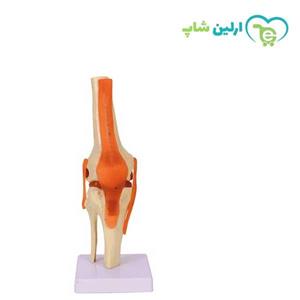 مولاژ زانو