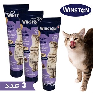 خمیر مالت گربه وینستون آنتی هیربال وزن 100 گرم بسته 3 عددی