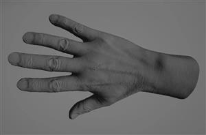 دانلود مدل سه بعدی دست انسان (همراه با تسکچر)