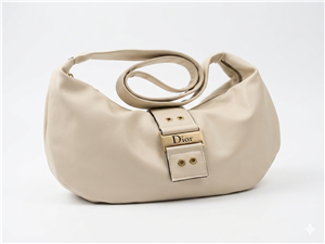 کیف زنانه دوشی دیور | Dior 1761