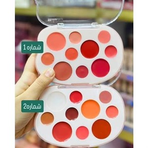 پالت رژلب و رژگونه میس لارا 10 رنگ
