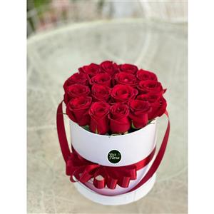باکس گل رز قرمز هلندی 16 شاخه