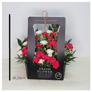 باکس گل شکوفه ی شب