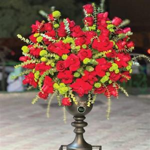 جام گل رز قرمز لوکس