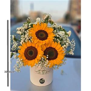 باکس گل آفتابگردان مینیمال