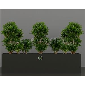 دراسنا کامپکت با فلاور باکس مشکی