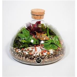 تراریوم نفس خاک
