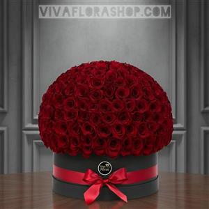 باکس گل رز قرمز 500 شاخه
