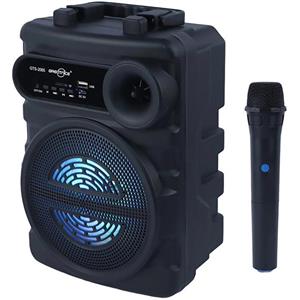 اسپیکر بی سیم Greatnice مدل GTS-2065 – مشکی – TCO