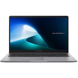 لپ تاپ ایسوس ExpertBook P1 P1503CVA-NC