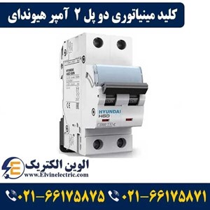 فیوز مینیاتوری دو پل 2 آمپر هیوندای تیپ C
