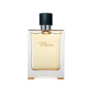 عطر ادکلن تق هرمس برند Rene Touch