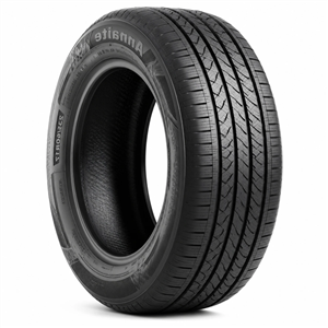 لاستیک 205/55R16 آنایت چین AN600 (دو حلقه//جفتی) 2025