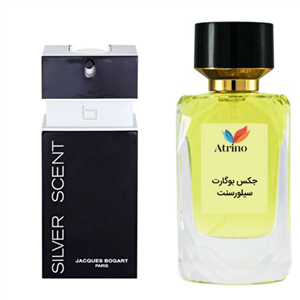 عطر ادکلن جکس بوگارت سیلورسنت برند Rene Touch