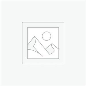 کرم پودر مات شیگلم مدل Complexion Pro رنگ Honey