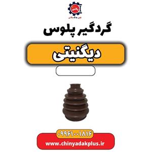 گردگیر پلوس دیگنیتی