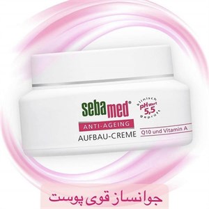 کرم جوانساز کیوتن سبامد کد BA064
