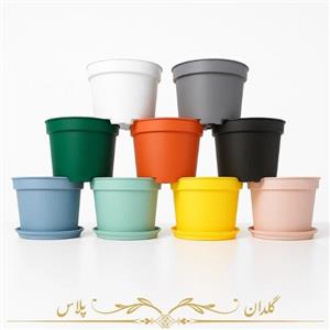 گلدان پلاستیکی پاچیرا رنگی (به قیمت عمده)