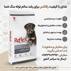 غذا خشک توله سگ رفلکس مدل Lamb & Rice وزن 15 کیلوگرم