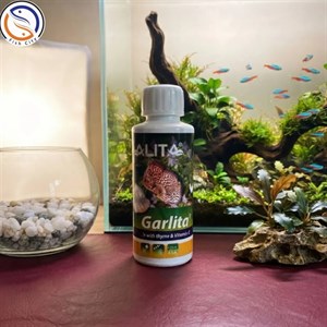 محلول عصاره سیر آکواریوم برگچین 120 میلی