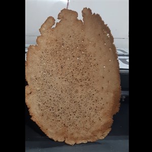 نان جو خالص بسته 10 کیلویی(با 5 تزئین)