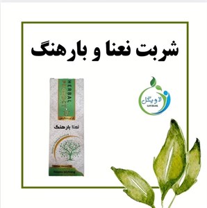 شربت نعنا بارهنگ دکتر خیراندیش (رفع سوزش و سردی و زخم معده)